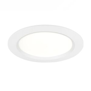 LED Downlight Pro Line 17cm 20W 4000K 